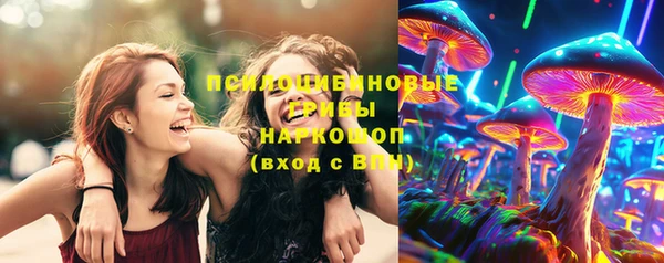 прущие крисы Горнозаводск