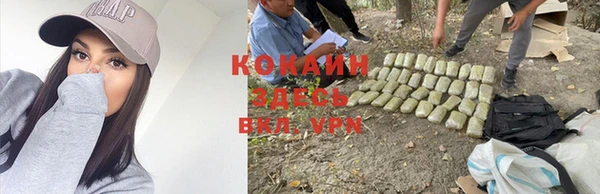 прущие крисы Горнозаводск