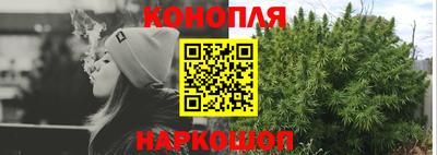 прущие грибы Пушкино