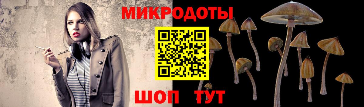 Галлюциногенные грибы Psilocybine cubensis  сколько стоит  Петрозаводск  Вход с VPN 